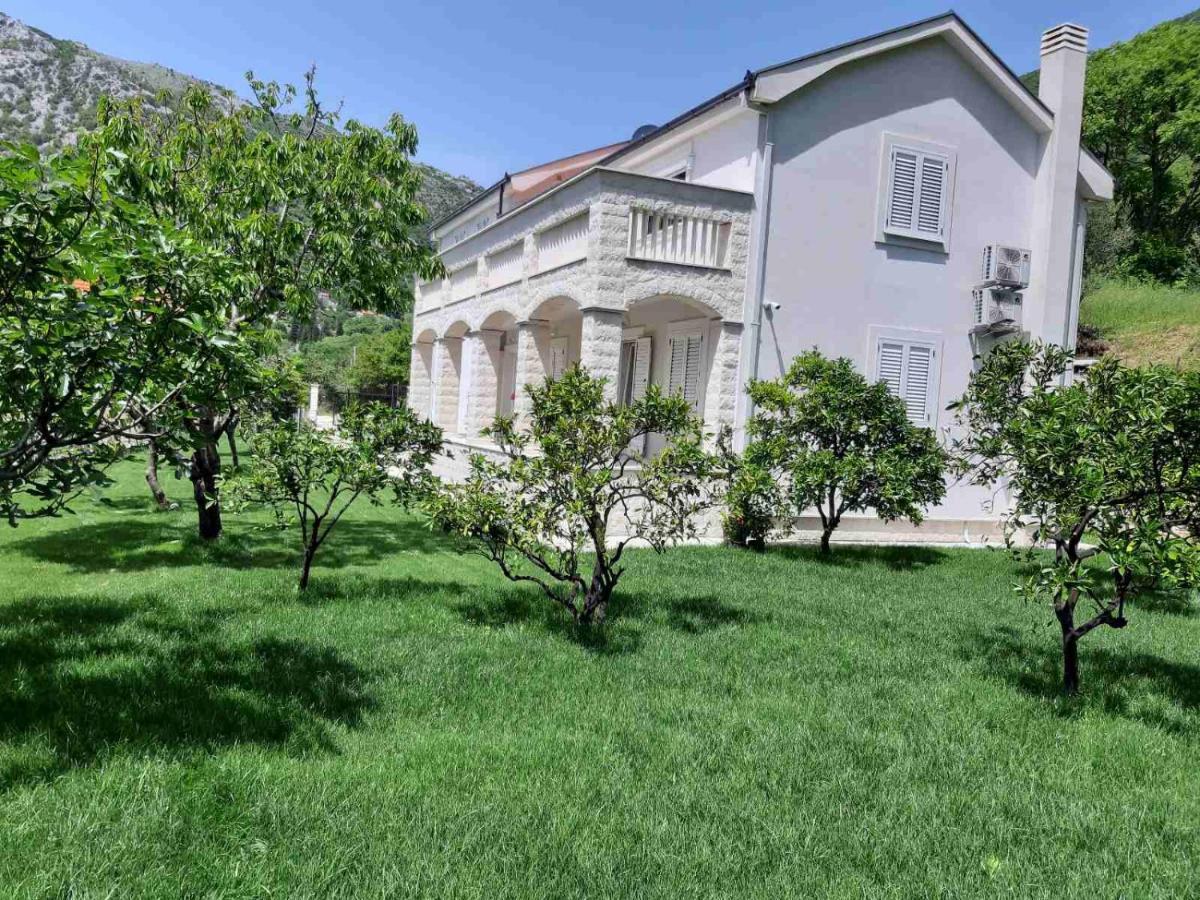 Queen Teuta Risan Exterior foto